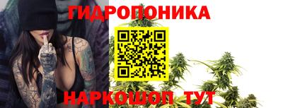 эйфоретик Тара